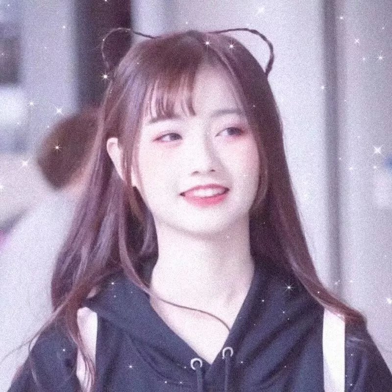 万物生灵：2024圣诞特别集