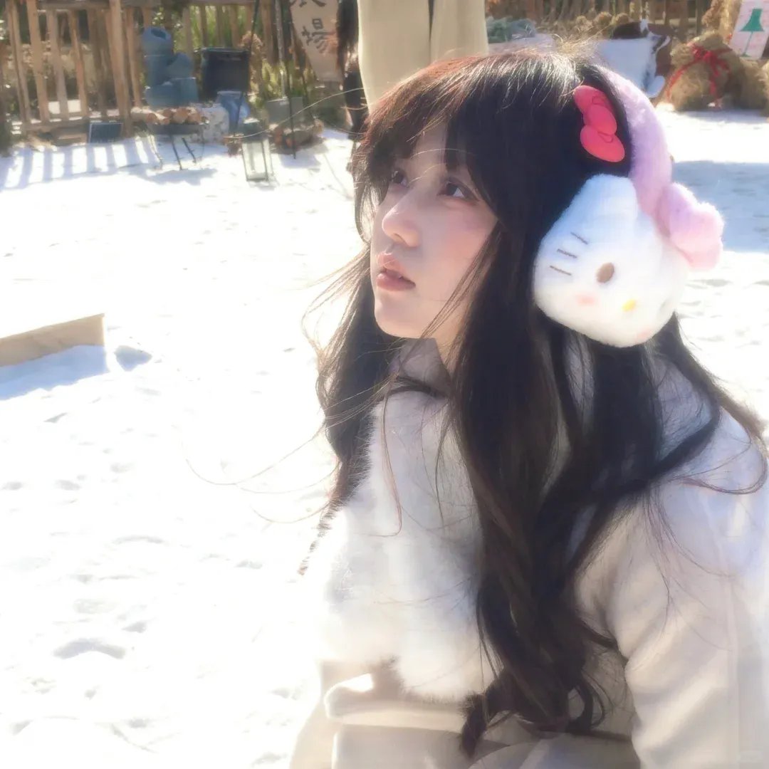 叶问外传：张天志国语